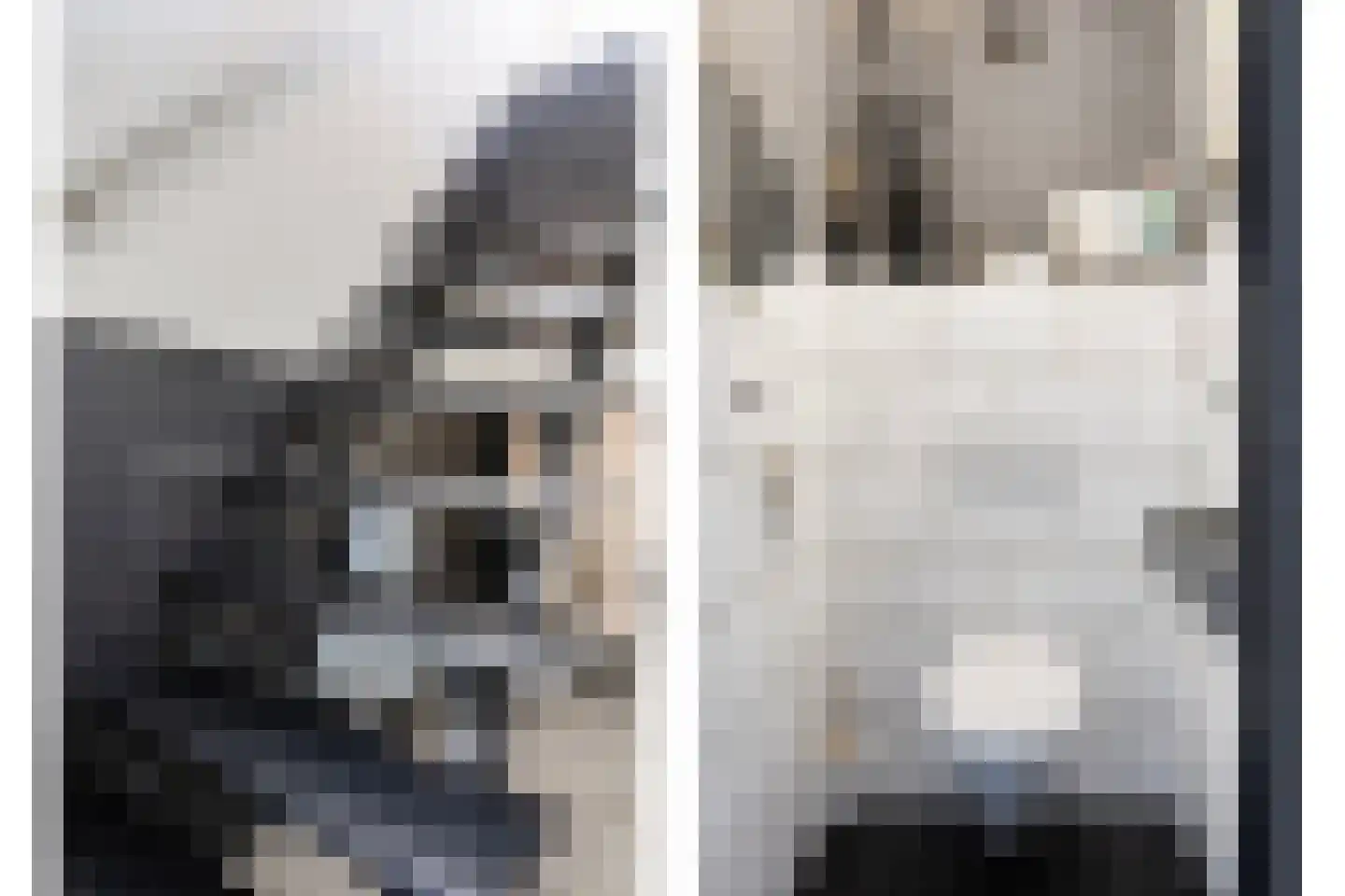 Chopinstraat 30 Tilburg thumbnail 13