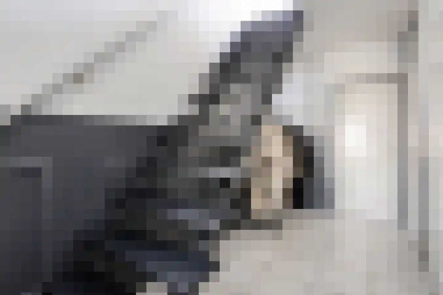 Chopinstraat 30 Tilburg thumbnail 14