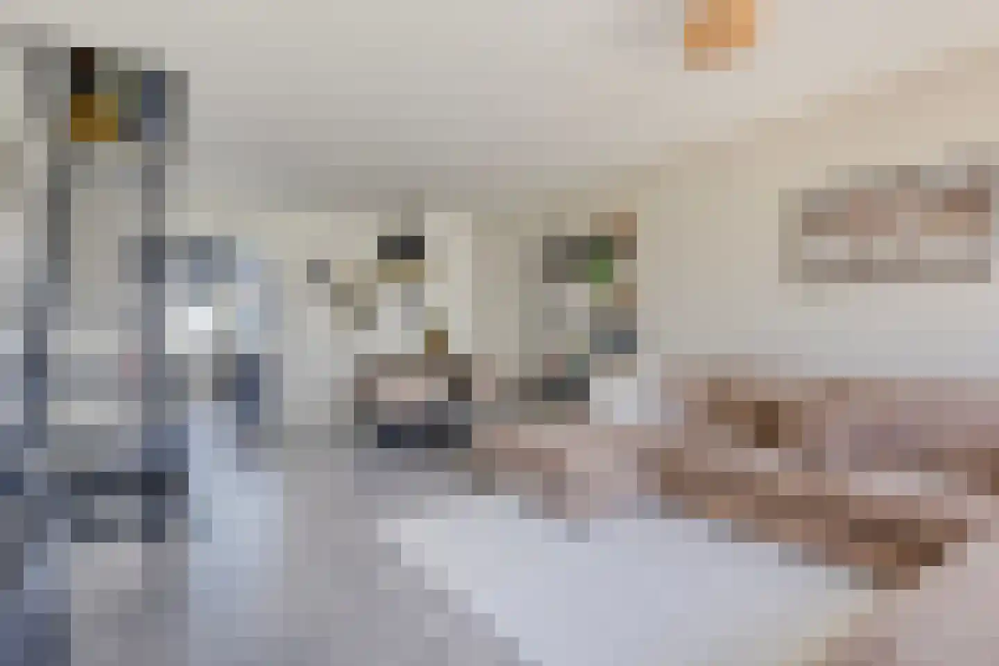 Chopinstraat 30 Tilburg thumbnail 19