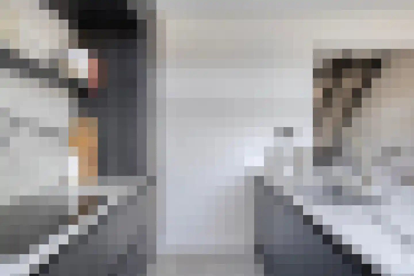 Chopinstraat 30 Tilburg thumbnail 27