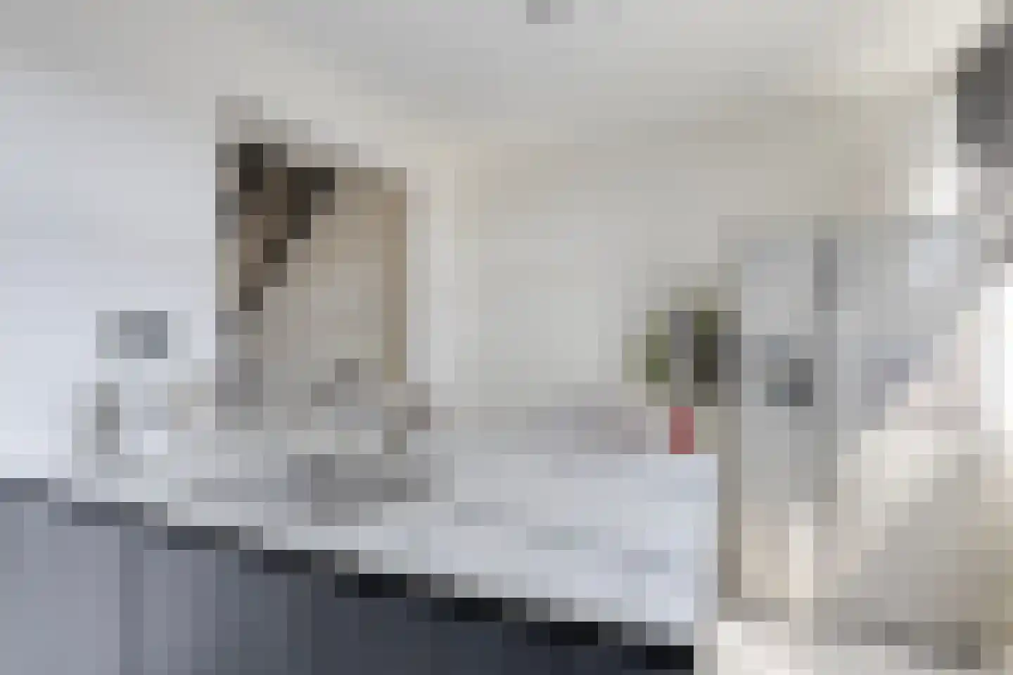 Chopinstraat 30 Tilburg thumbnail 28