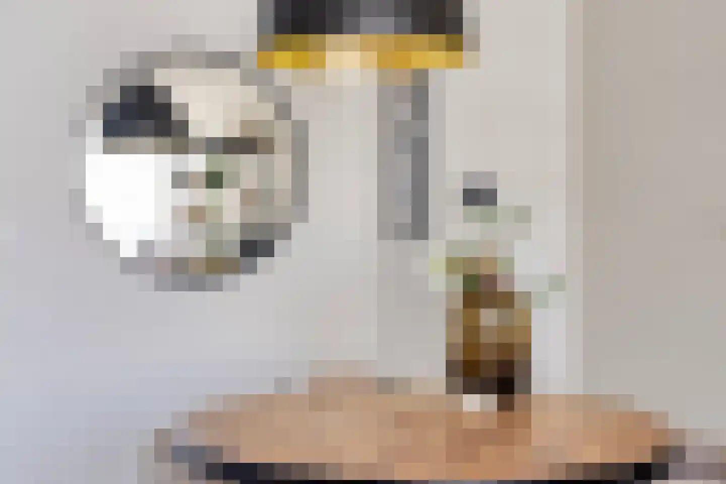Chopinstraat 30 Tilburg thumbnail 29