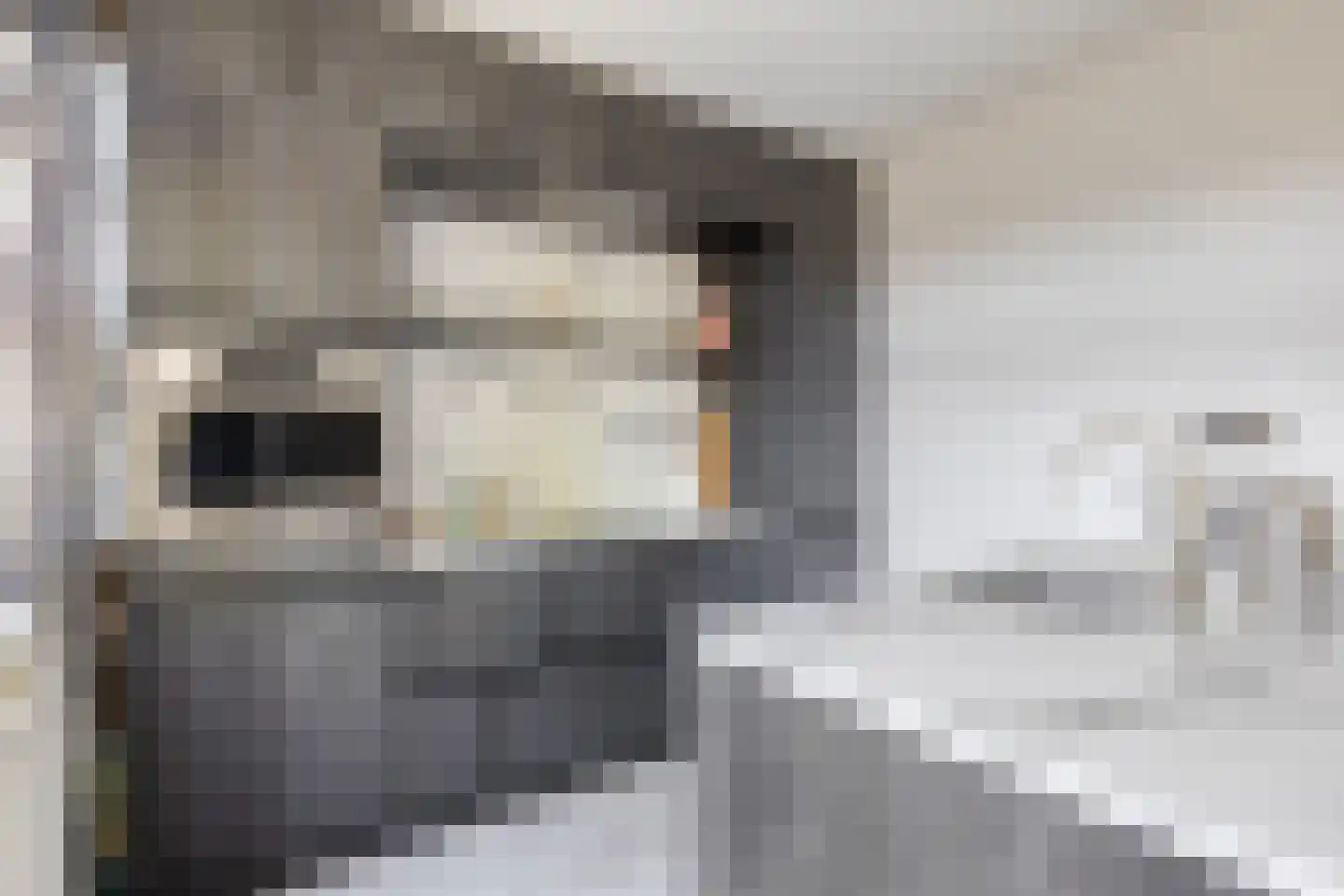 Chopinstraat 30 Tilburg thumbnail 5