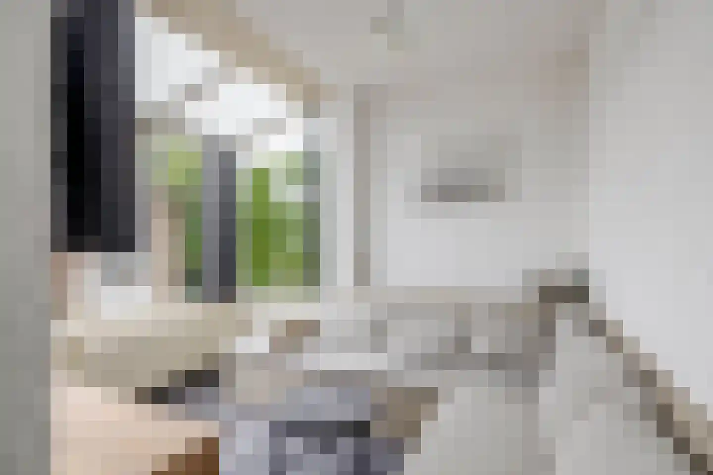 Chopinstraat 31 Capelle aan den IJssel thumbnail 13