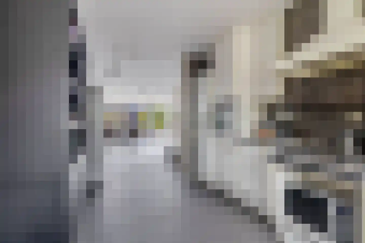 Chopinstraat 31 Capelle aan den IJssel thumbnail 20