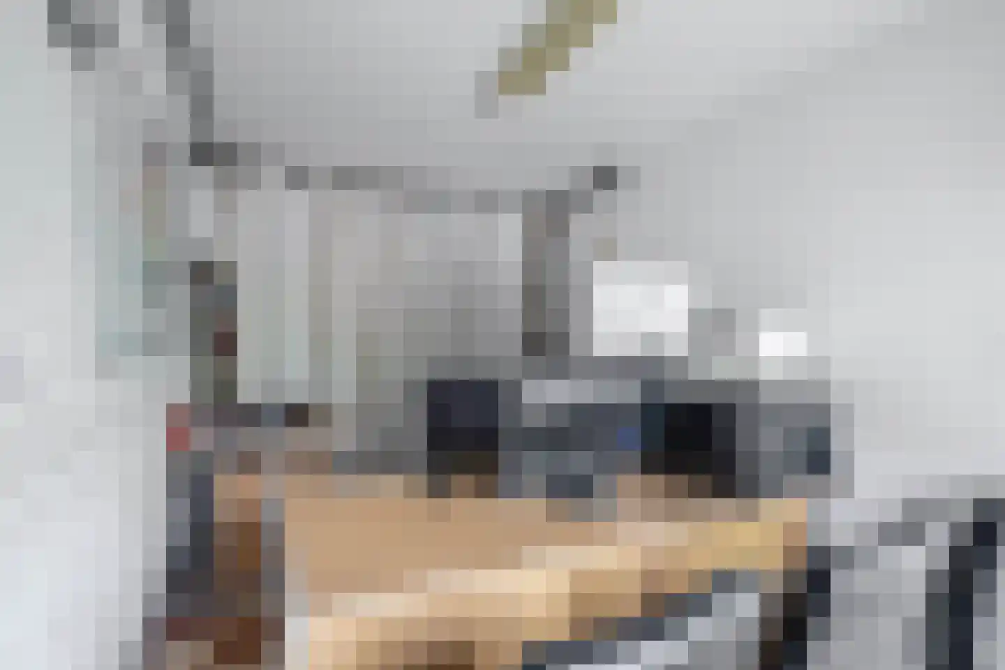 Chopinstraat 31 Capelle aan den IJssel thumbnail 38
