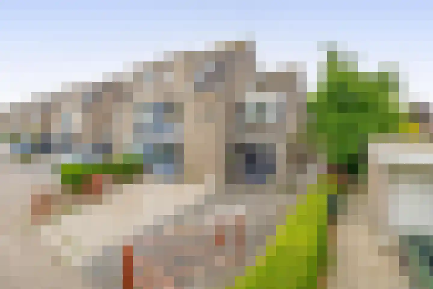 Chopinstraat 31 Capelle aan den IJssel thumbnail 49