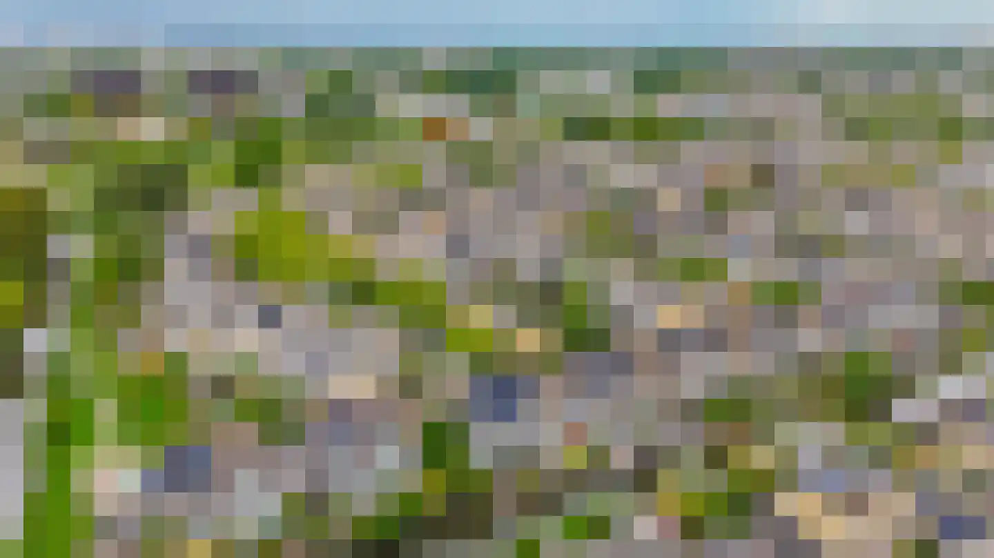 Chopinstraat 31 Capelle aan den IJssel thumbnail 64