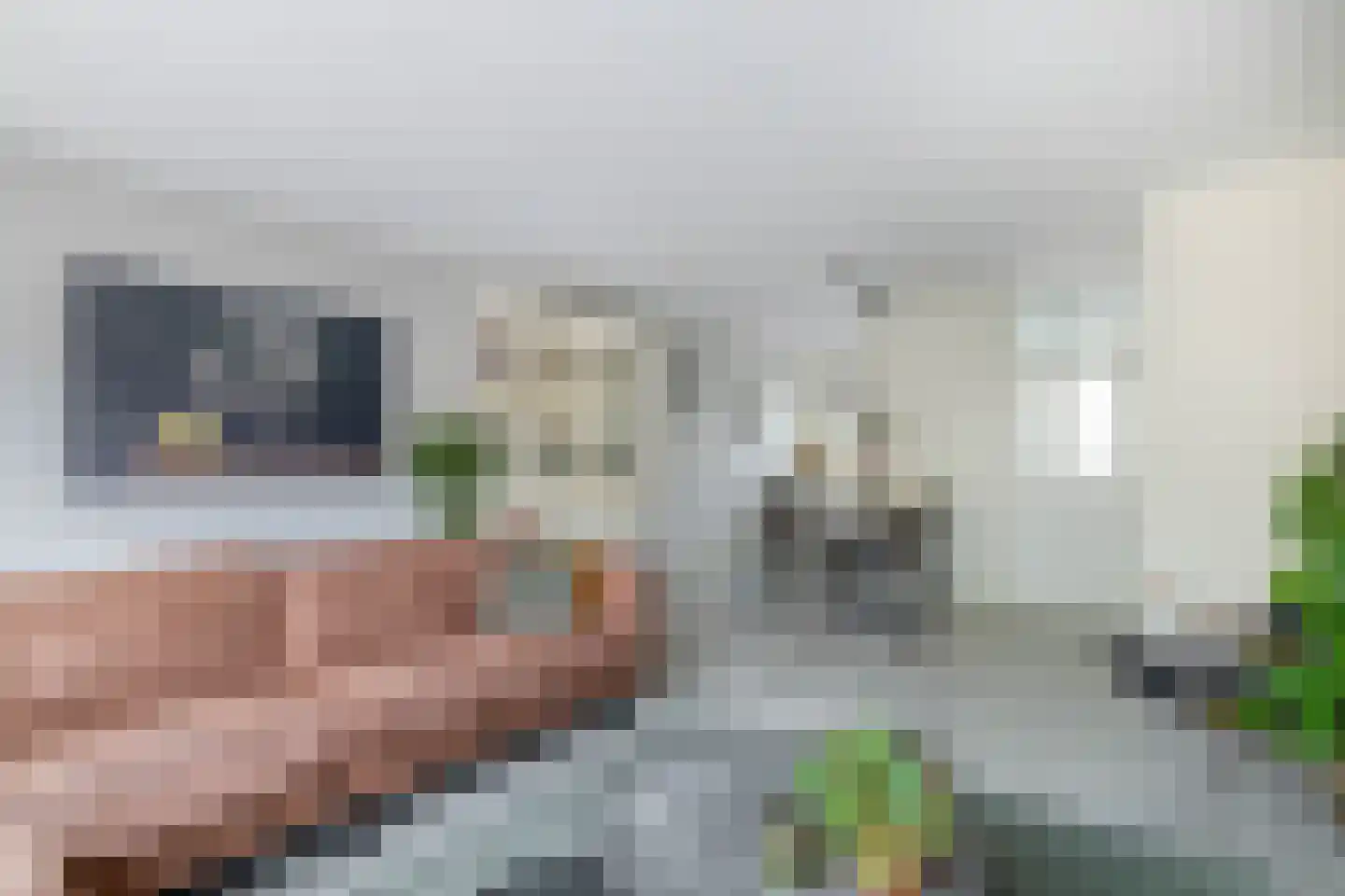 Chopinstraat 34 Capelle aan den IJssel thumbnail 11