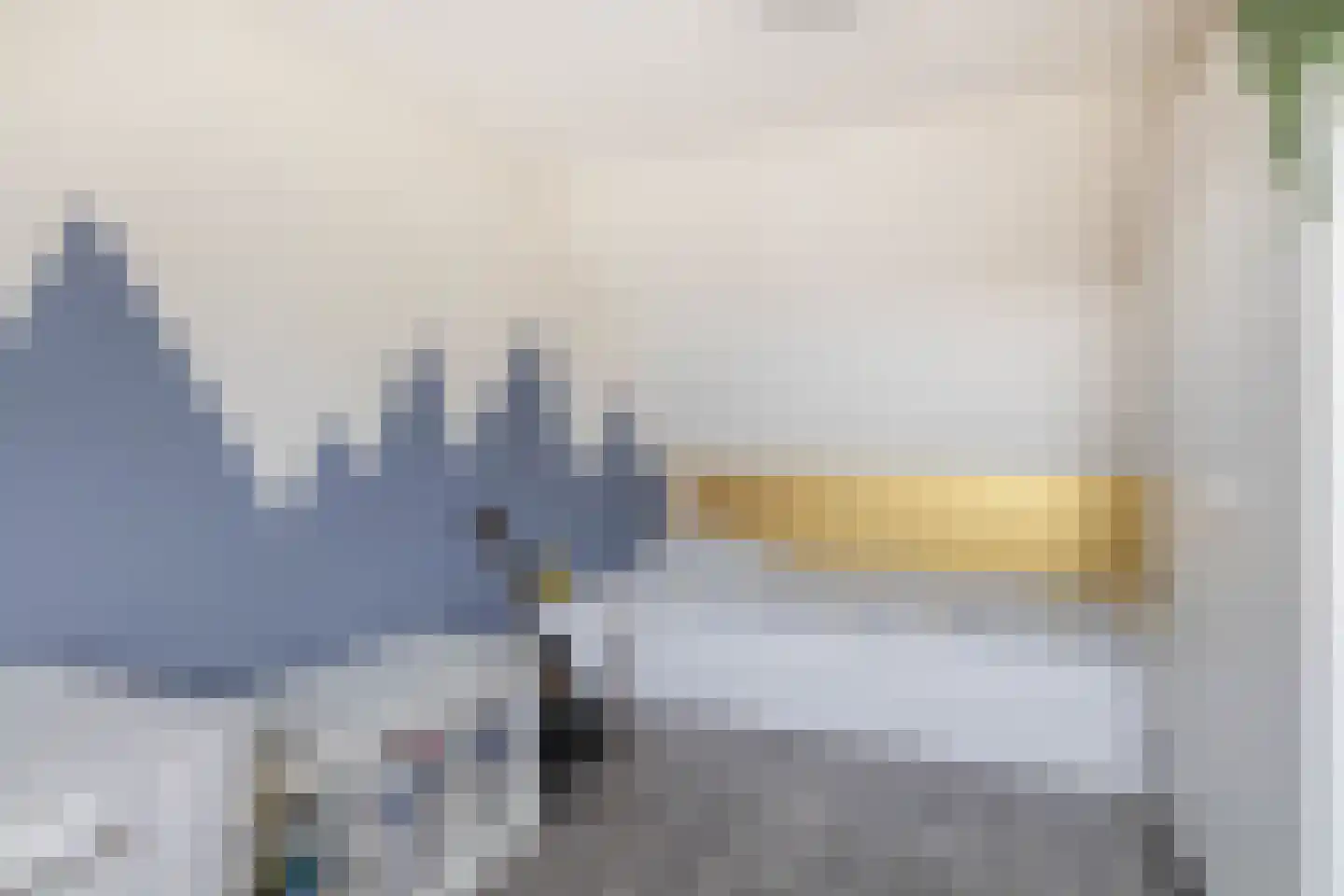 Chopinstraat 34 Capelle aan den IJssel thumbnail 35