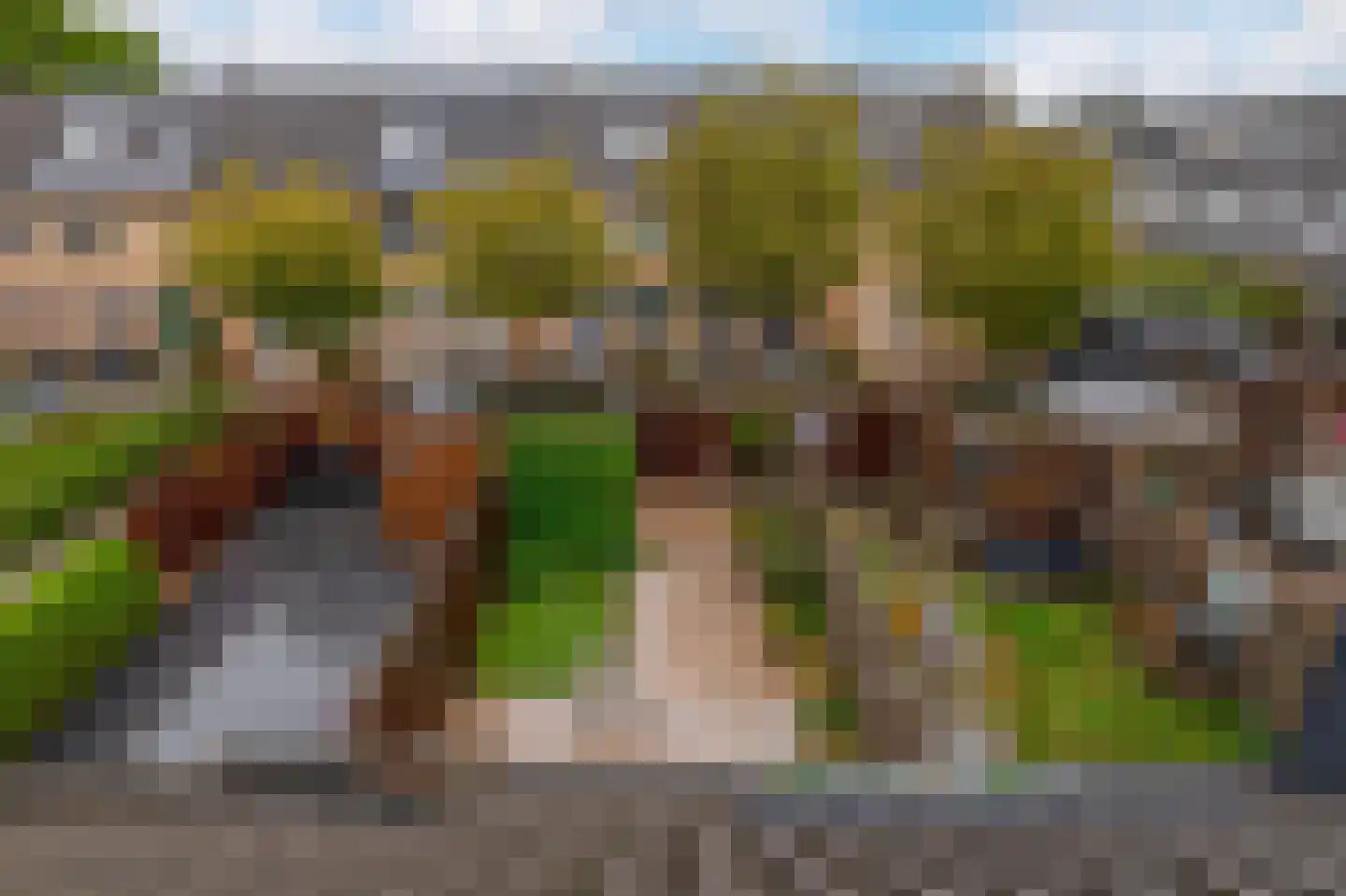 Chopinstraat 34 Capelle aan den IJssel thumbnail 38