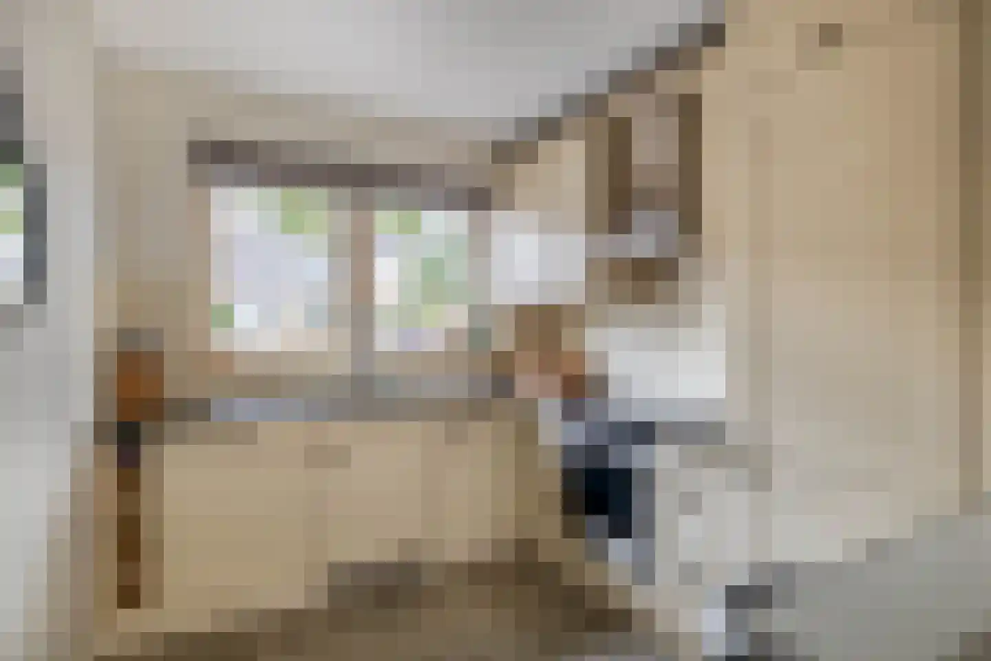 Chopinstraat 34 Capelle aan den IJssel thumbnail 4