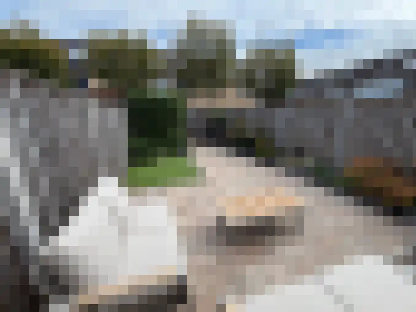 Chopinstraat 34 Capelle aan den IJssel thumbnail 53