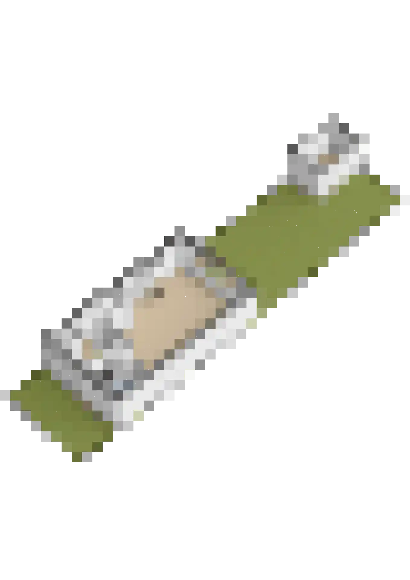 Chopinstraat 34 Capelle aan den IJssel thumbnail 61