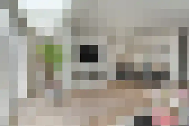 Chopinstraat 35 Capelle aan den IJssel thumbnail 10