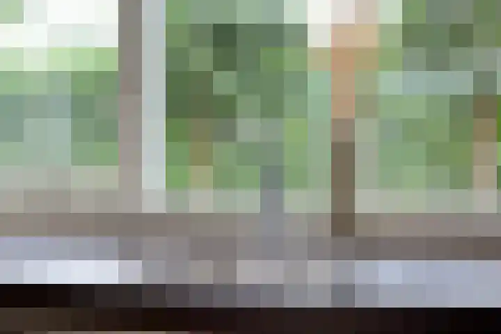 Chopinstraat 35 Capelle aan den IJssel thumbnail 13