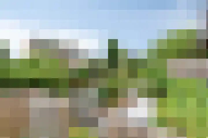 Chopinstraat 35 Capelle aan den IJssel thumbnail 15