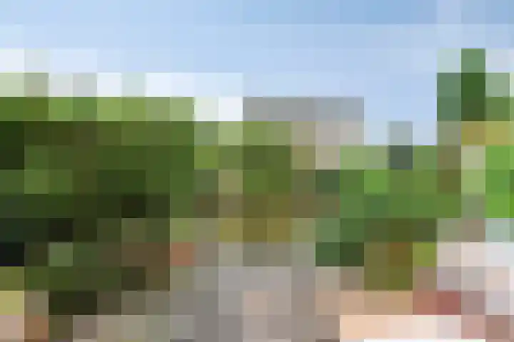 Chopinstraat 35 Capelle aan den IJssel thumbnail 16