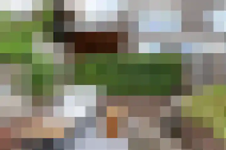 Chopinstraat 35 Capelle aan den IJssel thumbnail 17