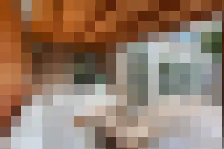 Chopinstraat 35 Capelle aan den IJssel thumbnail 18