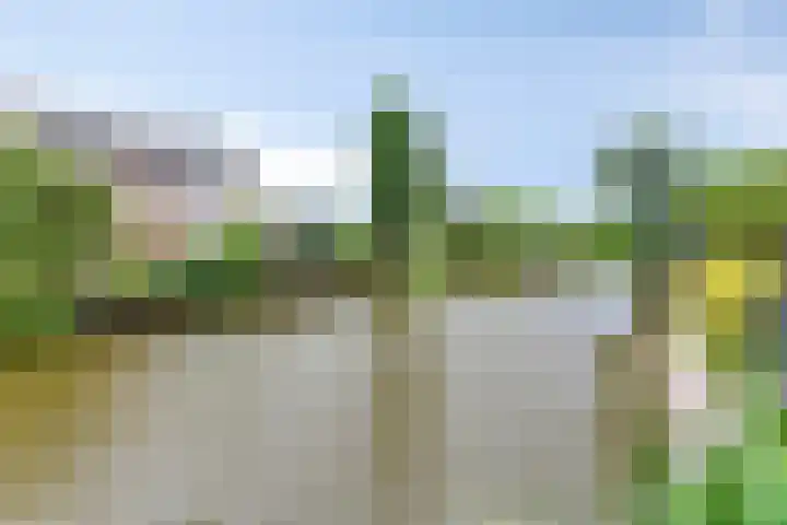 Chopinstraat 35 Capelle aan den IJssel thumbnail 33