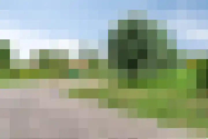 Chopinstraat 35 Capelle aan den IJssel thumbnail 34