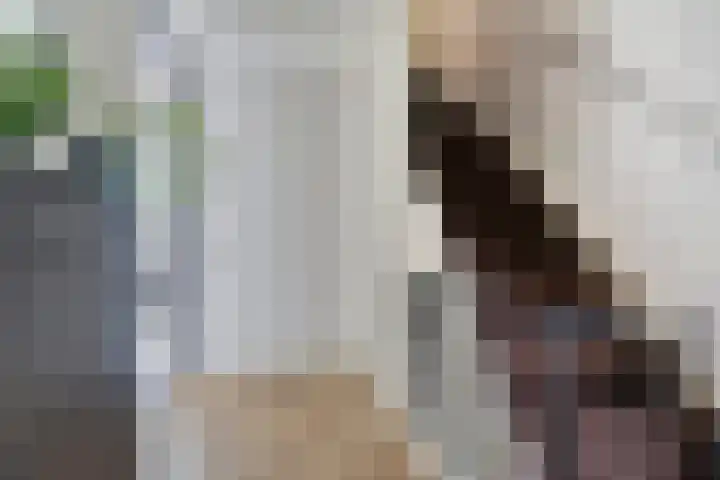 Chopinstraat 35 Capelle aan den IJssel thumbnail 6
