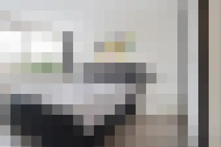 Chopinstraat 35 Schijndel thumbnail 17