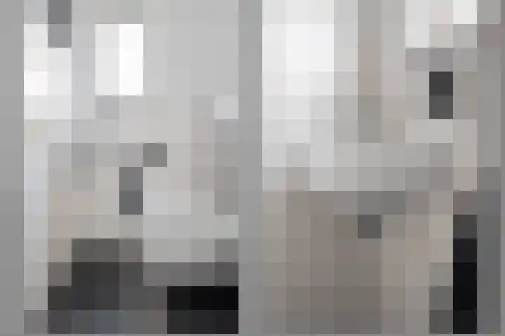 Chopinstraat 35 Schijndel thumbnail 6