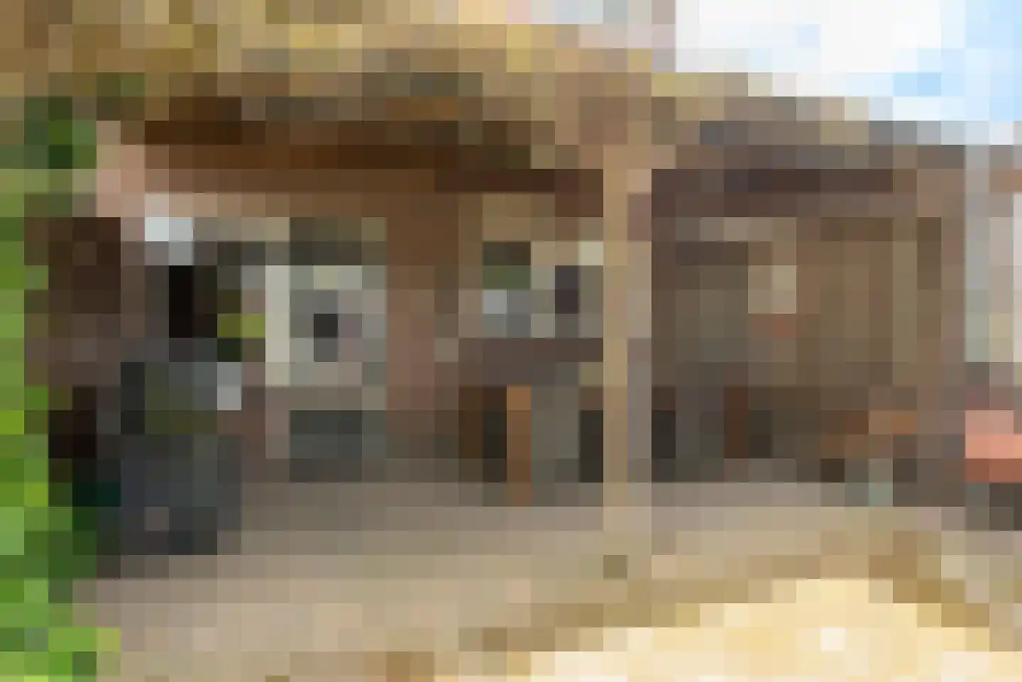 Chopinstraat 36 Schijndel thumbnail 31