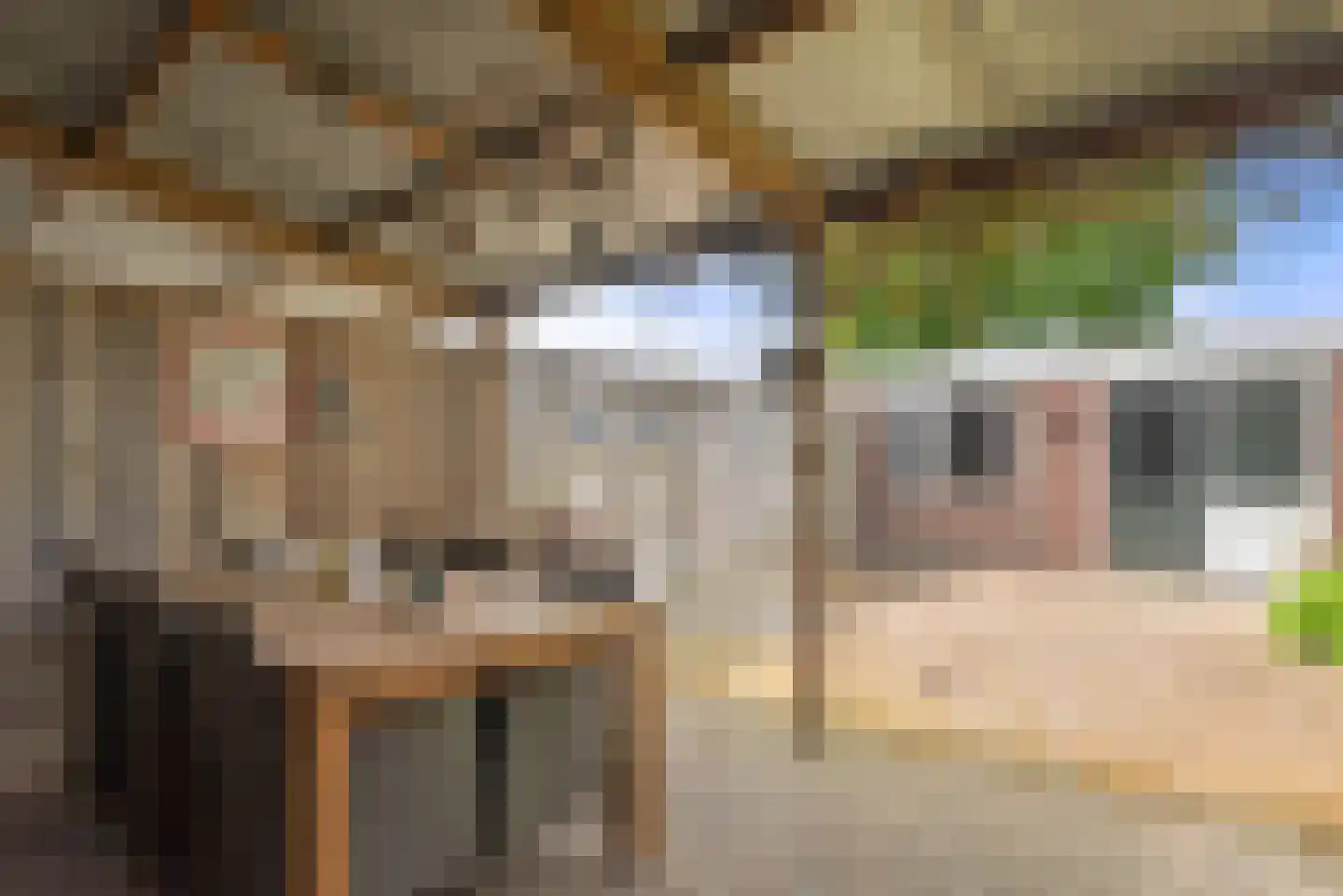 Chopinstraat 36 Schijndel thumbnail 4