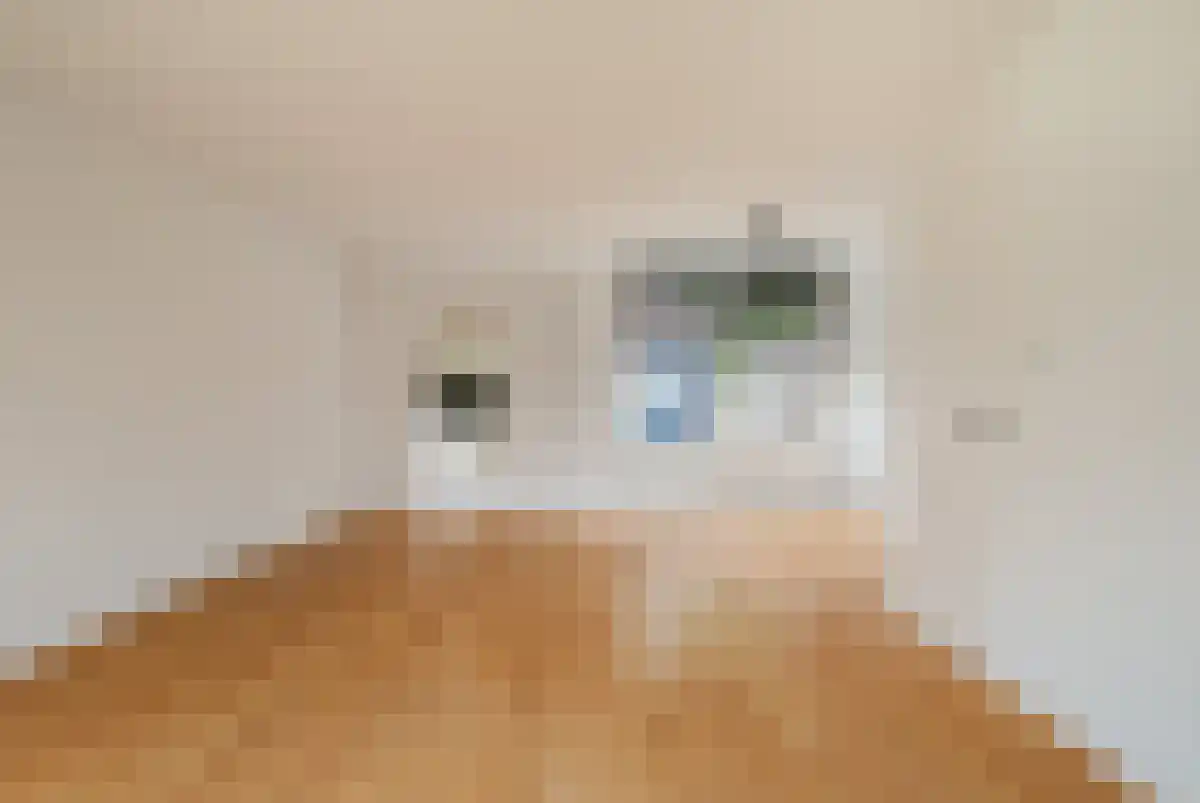 Chopinstraat 37 Schijndel thumbnail 4