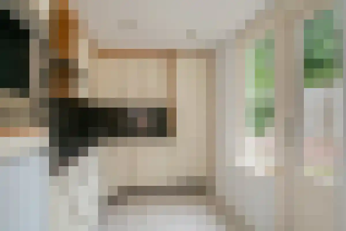 Chopinstraat 37 Schijndel thumbnail 6