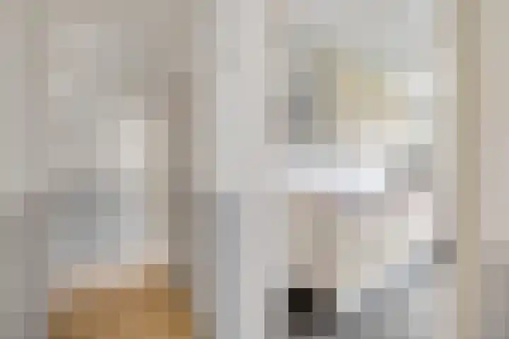 Chopinstraat 38 A Vlaardingen thumbnail 10