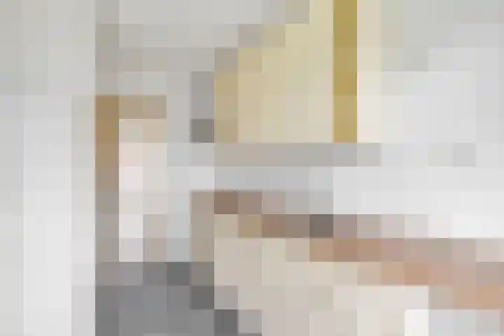 Chopinstraat 38 A Vlaardingen thumbnail 11