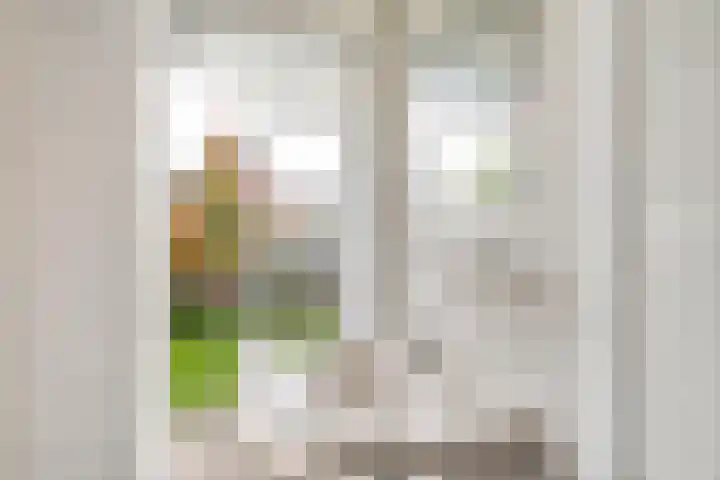 Chopinstraat 38 A Vlaardingen thumbnail 14