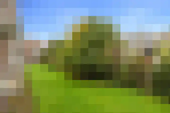 Chopinstraat 38 A Vlaardingen thumbnail 5