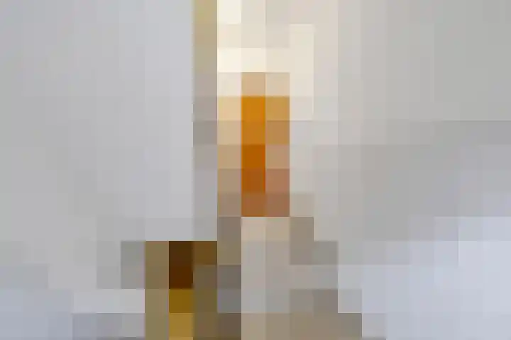 Chopinstraat 38 A Vlaardingen thumbnail 8