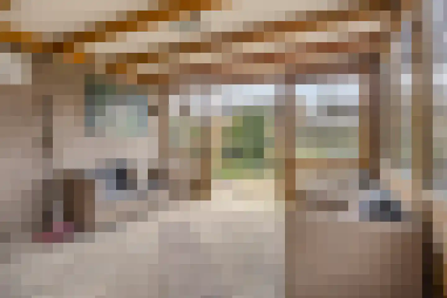 Chopinstraat 39 Capelle aan den IJssel thumbnail 31