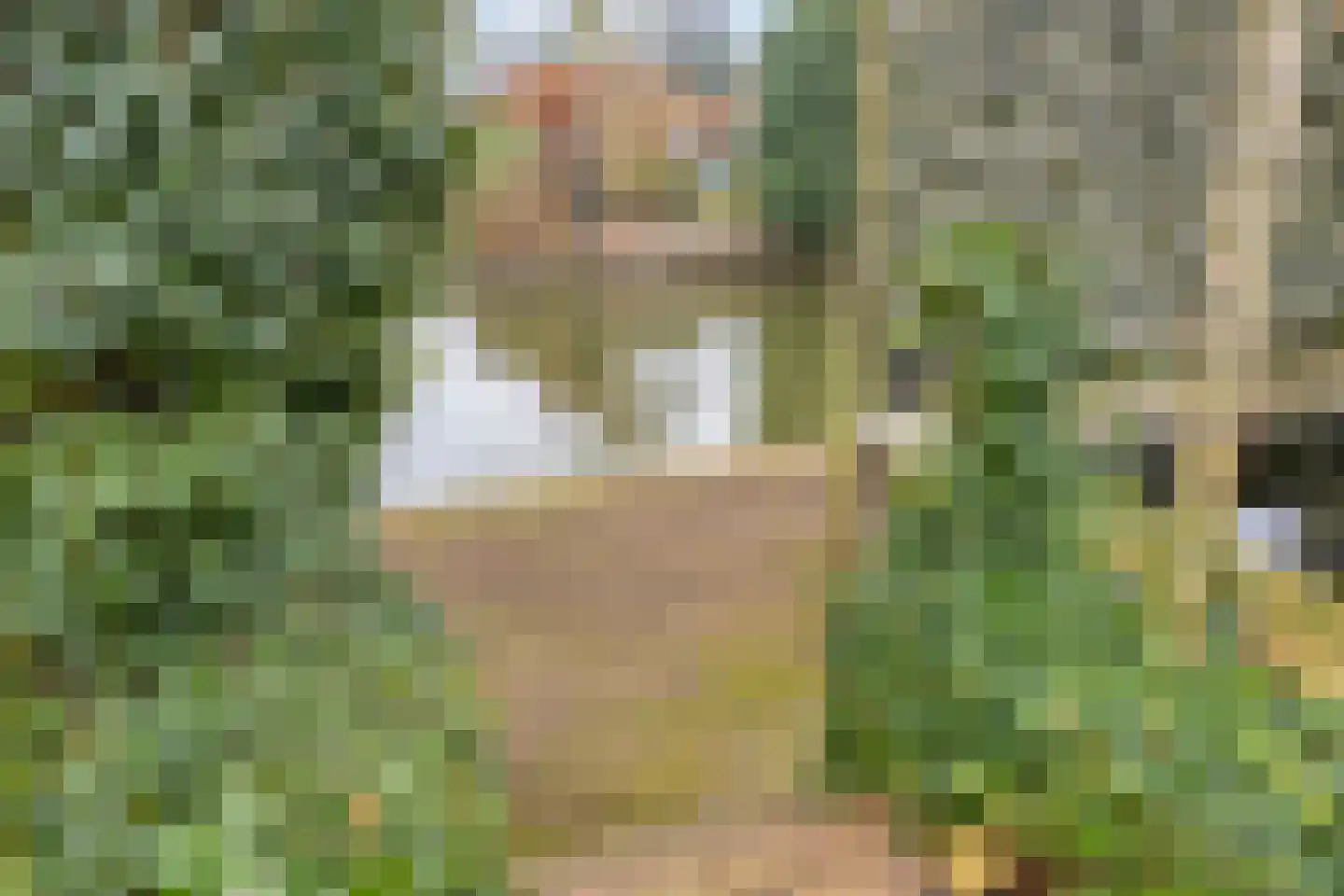 Chopinstraat 39 Capelle aan den IJssel thumbnail 33