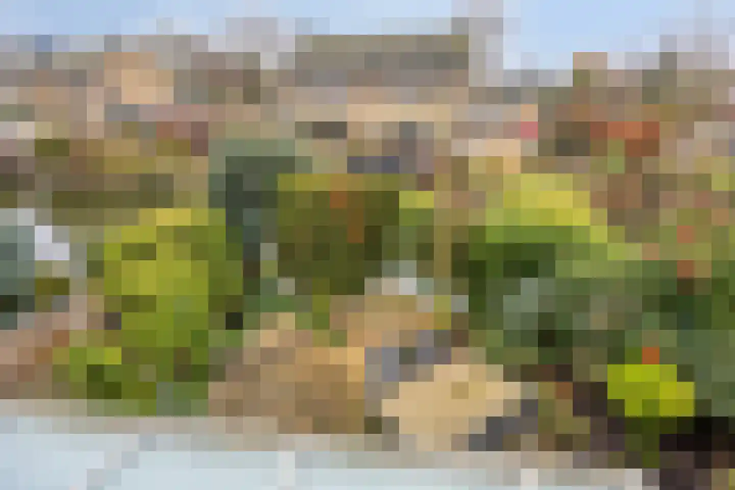 Chopinstraat 39 Capelle aan den IJssel thumbnail 36