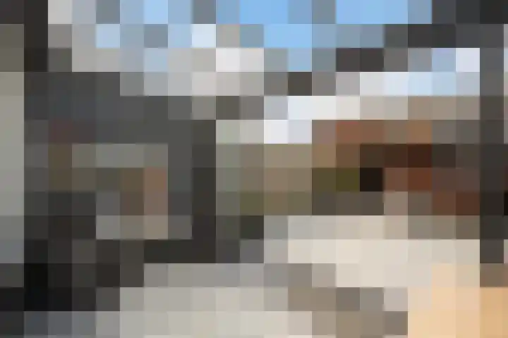 Chopinstraat 39 Zwolle thumbnail 10
