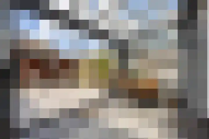 Chopinstraat 39 Zwolle thumbnail 11