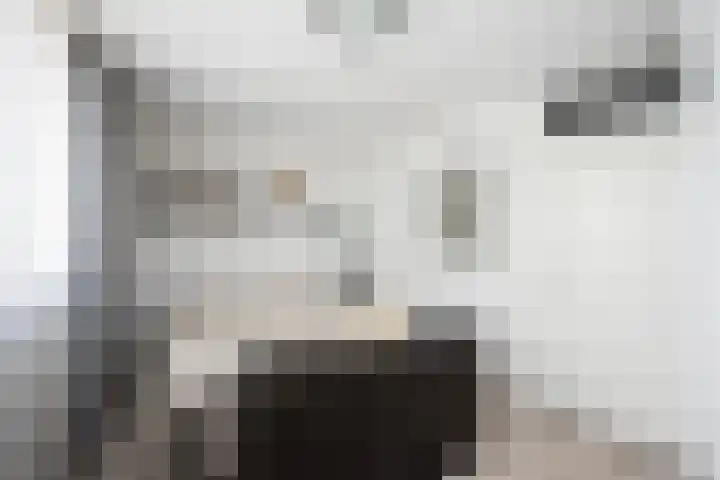 Chopinstraat 39 Zwolle thumbnail 20