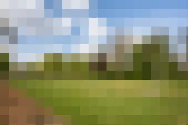Chopinstraat 39 Zwolle thumbnail 28