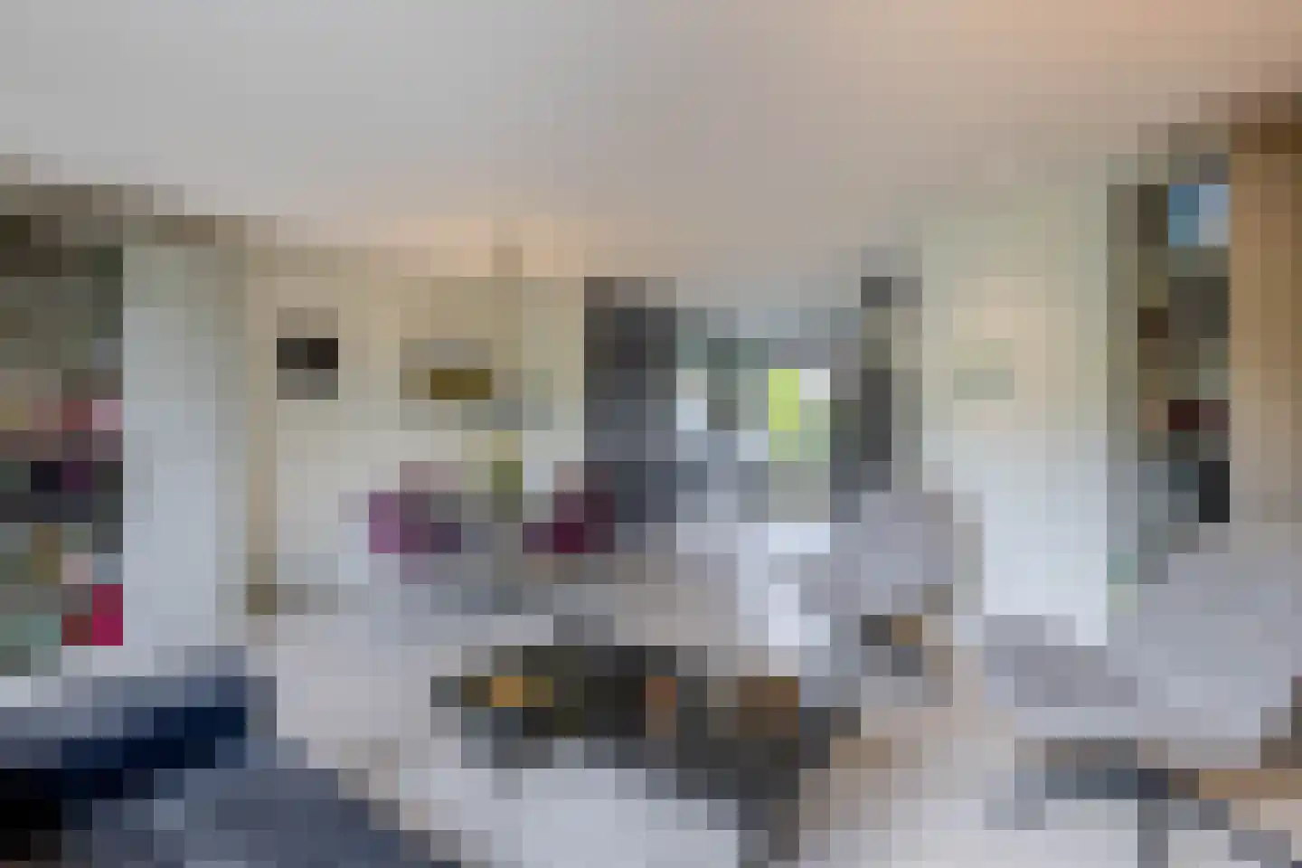 Chopinstraat 4 Barendrecht thumbnail 14