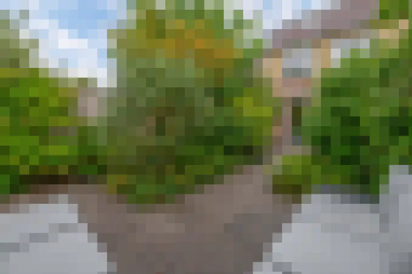 Chopinstraat 4 Barendrecht thumbnail 26