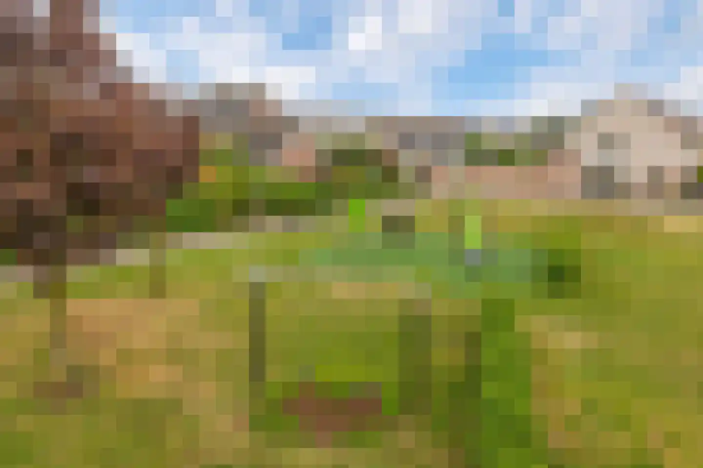 Chopinstraat 4 Barendrecht thumbnail 39