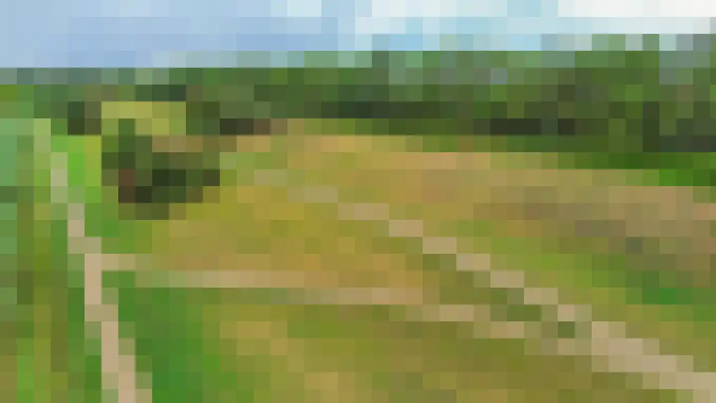 Chopinstraat 4 Barendrecht thumbnail 40
