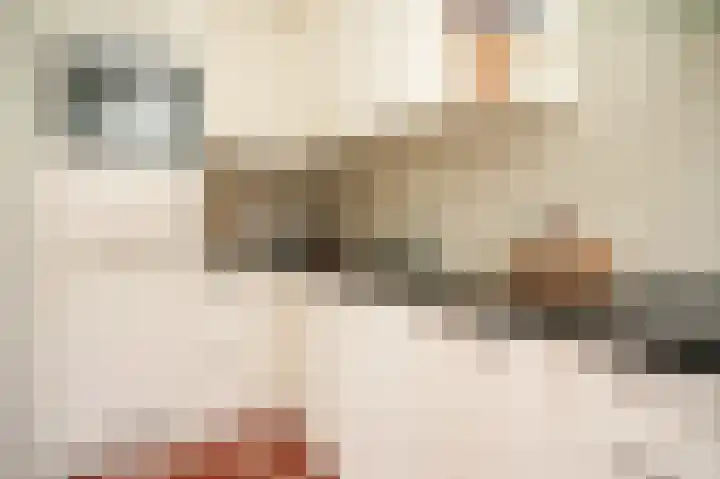 Chopinstraat 43 Utrecht thumbnail 12
